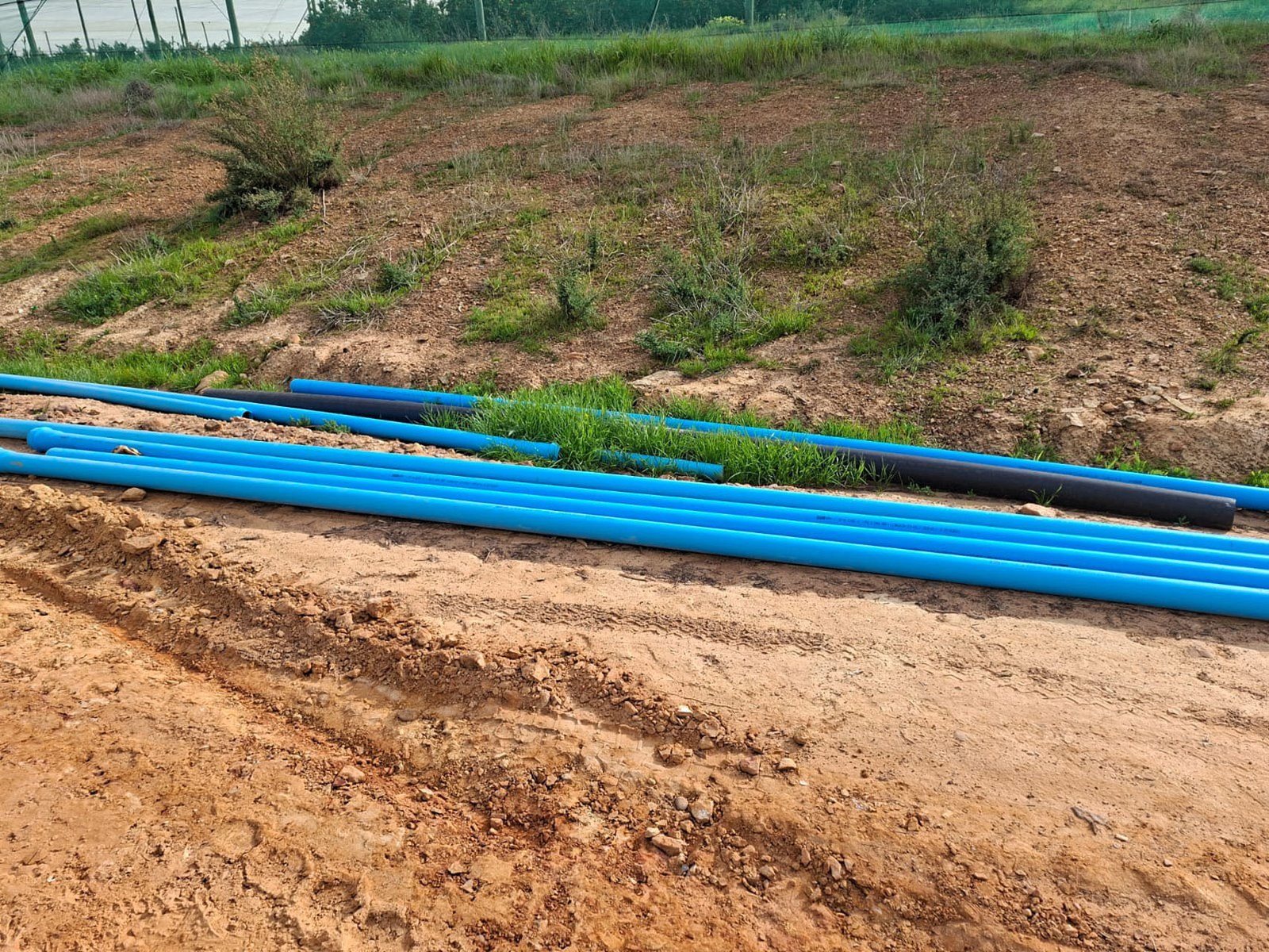 Blue pipe sections laid out on site
